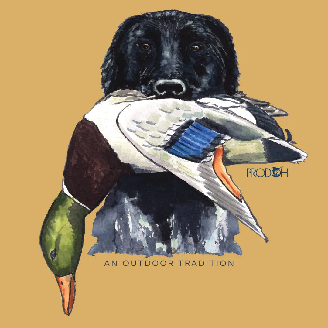 Boys Long Sleeve Cotton T-shirt | Ochre Duck Hunting Dog Art