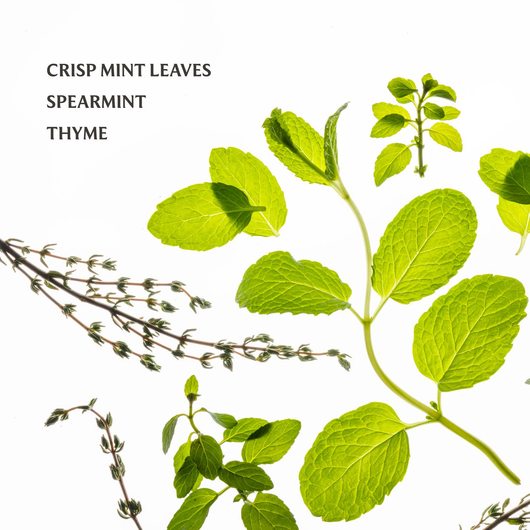 Touchland - Frosted Mint Power Mist Hydrating Hand Sanitizer