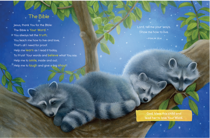 God Bless This Child Book