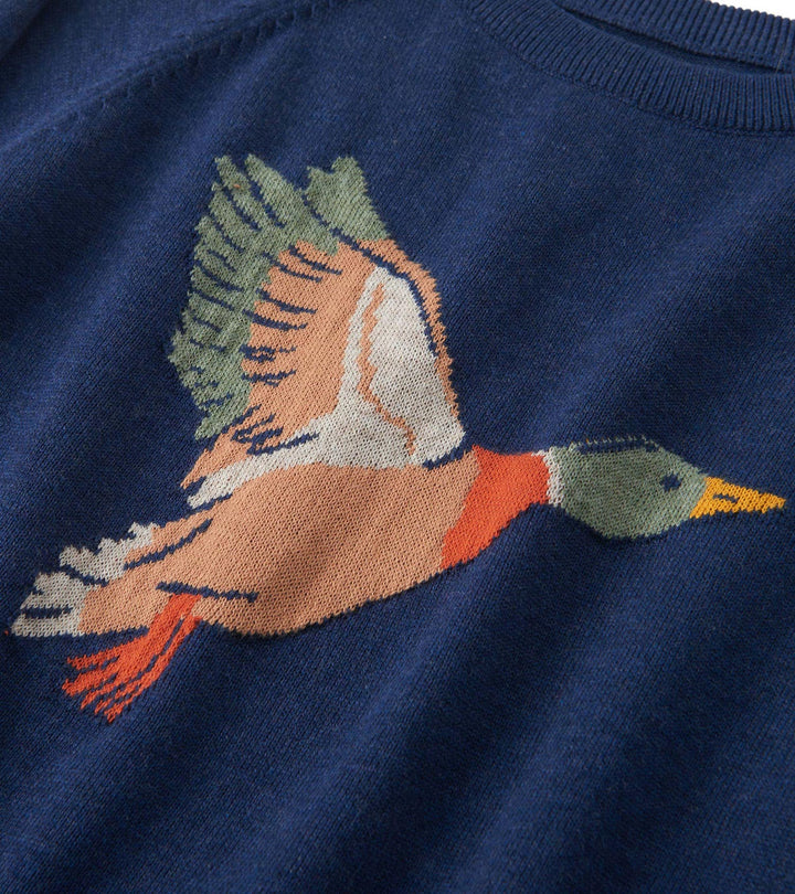 Boys Duck Crew Neck Sweater