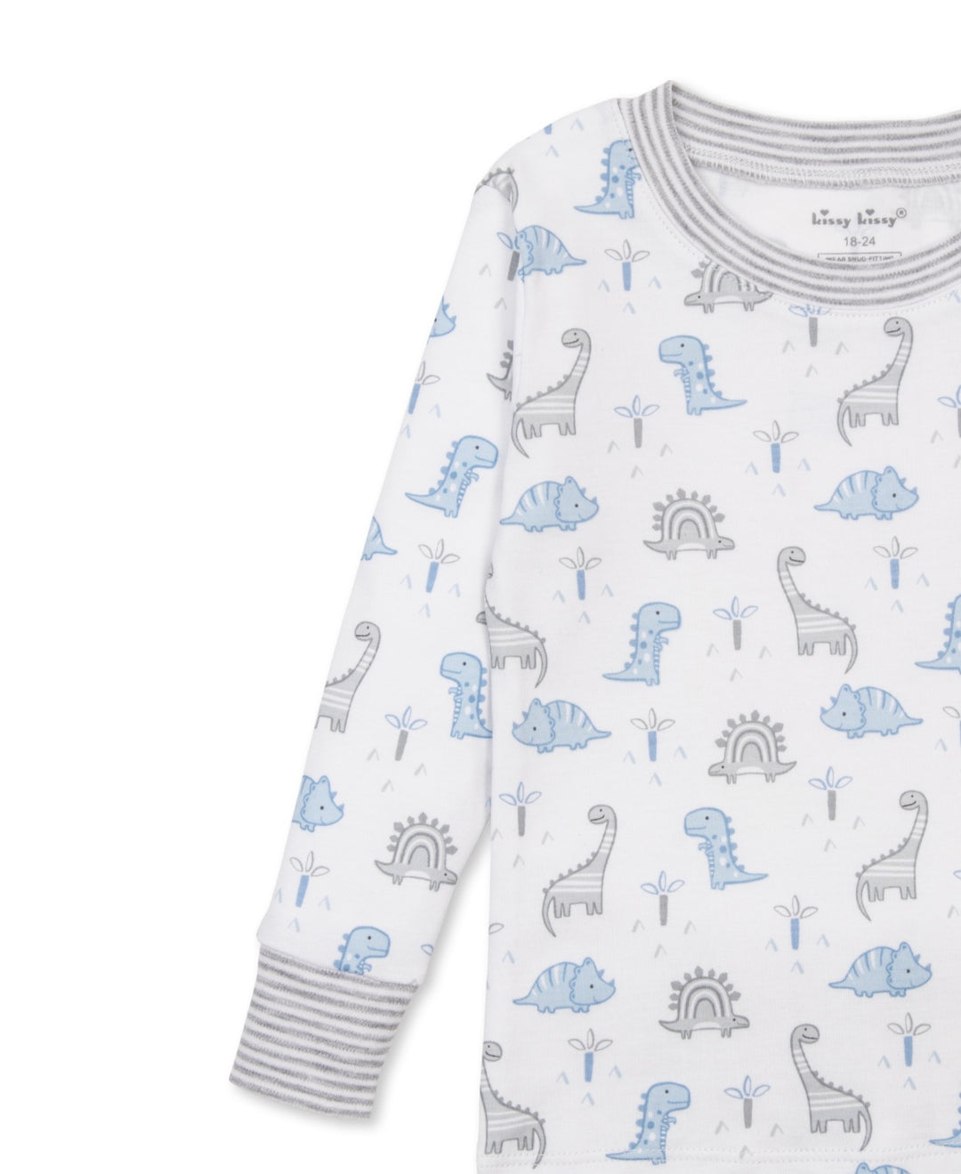 Boys Pajama Set | Dinosaur Territory