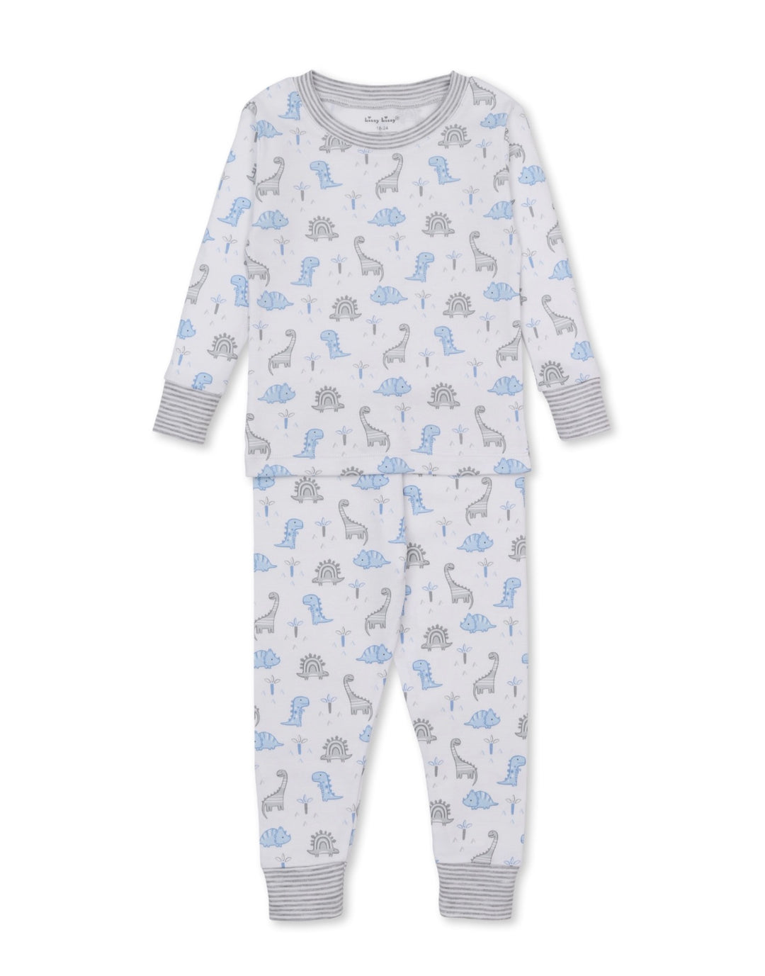 Boys Pajama Set | Dinosaur Territory