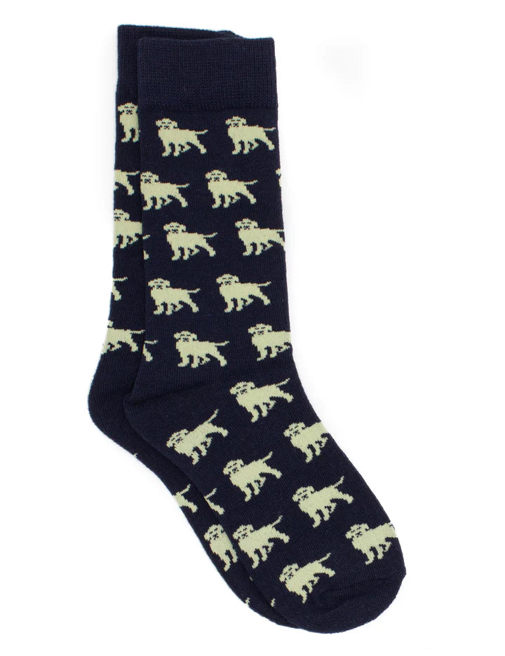 Boys Lucky Duck Socks | Golden Retriever