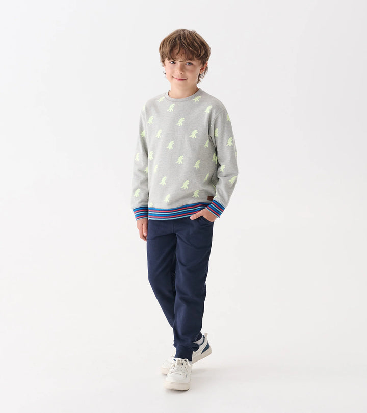 Boys Monster Pullover Sweatshirt | Glow in the Dark