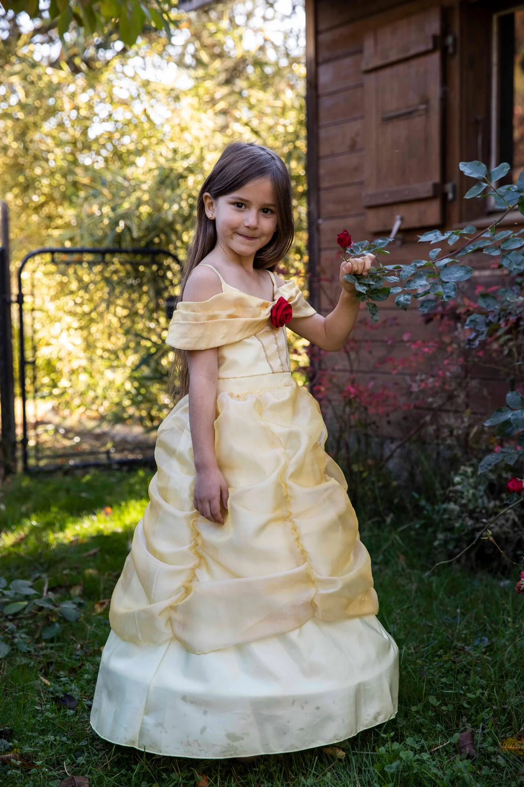 Boutique Belle Gown Costume: 5/6, 7/8