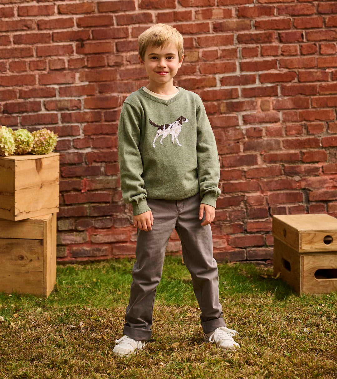 Boys Hunting Dogs V-Neck Sweater