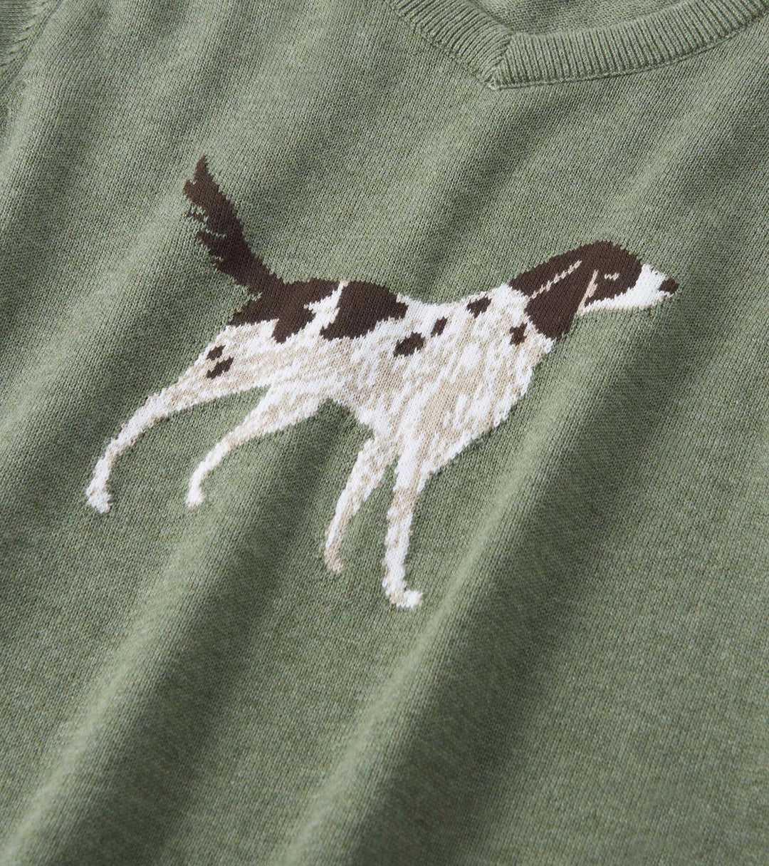 Boys Hunting Dogs V-Neck Sweater