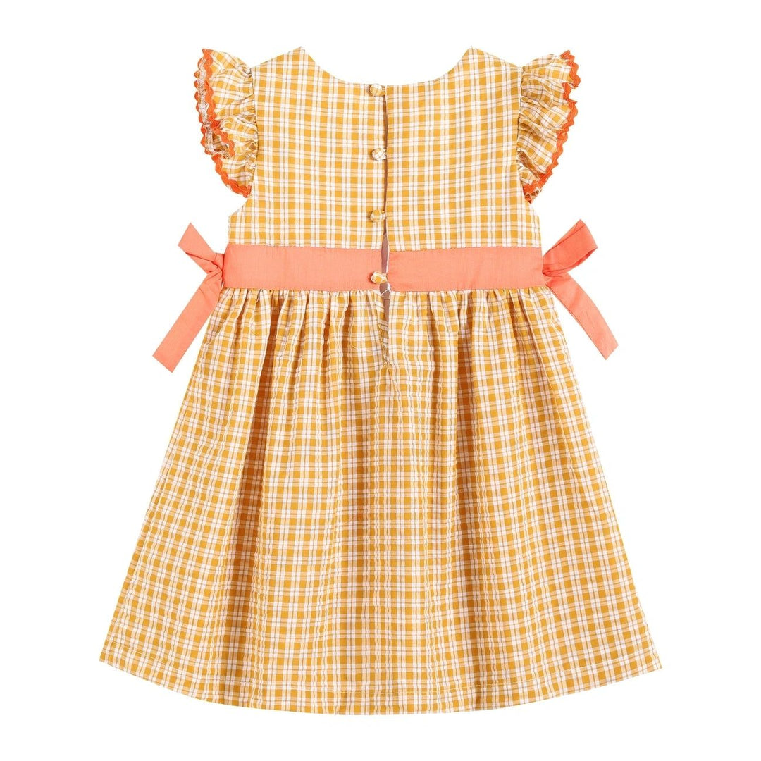 Orange Gingham Pumpkin Dress: 3T, 5