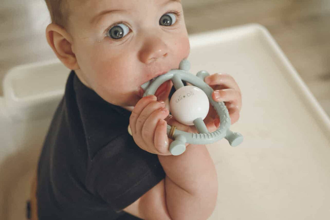 Silicone Giraffe Teether & Rattle (Mist)
